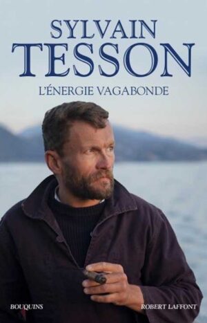 L'énergie vagabonde